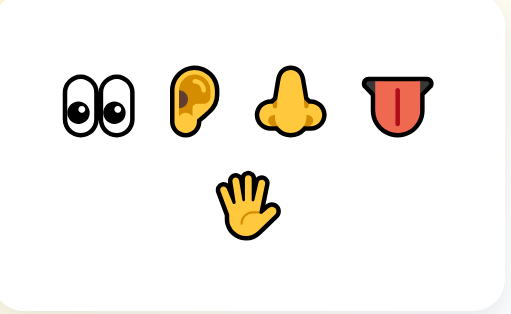 Eyes, an ear, a nose, a tongue and a hand representing the five senses